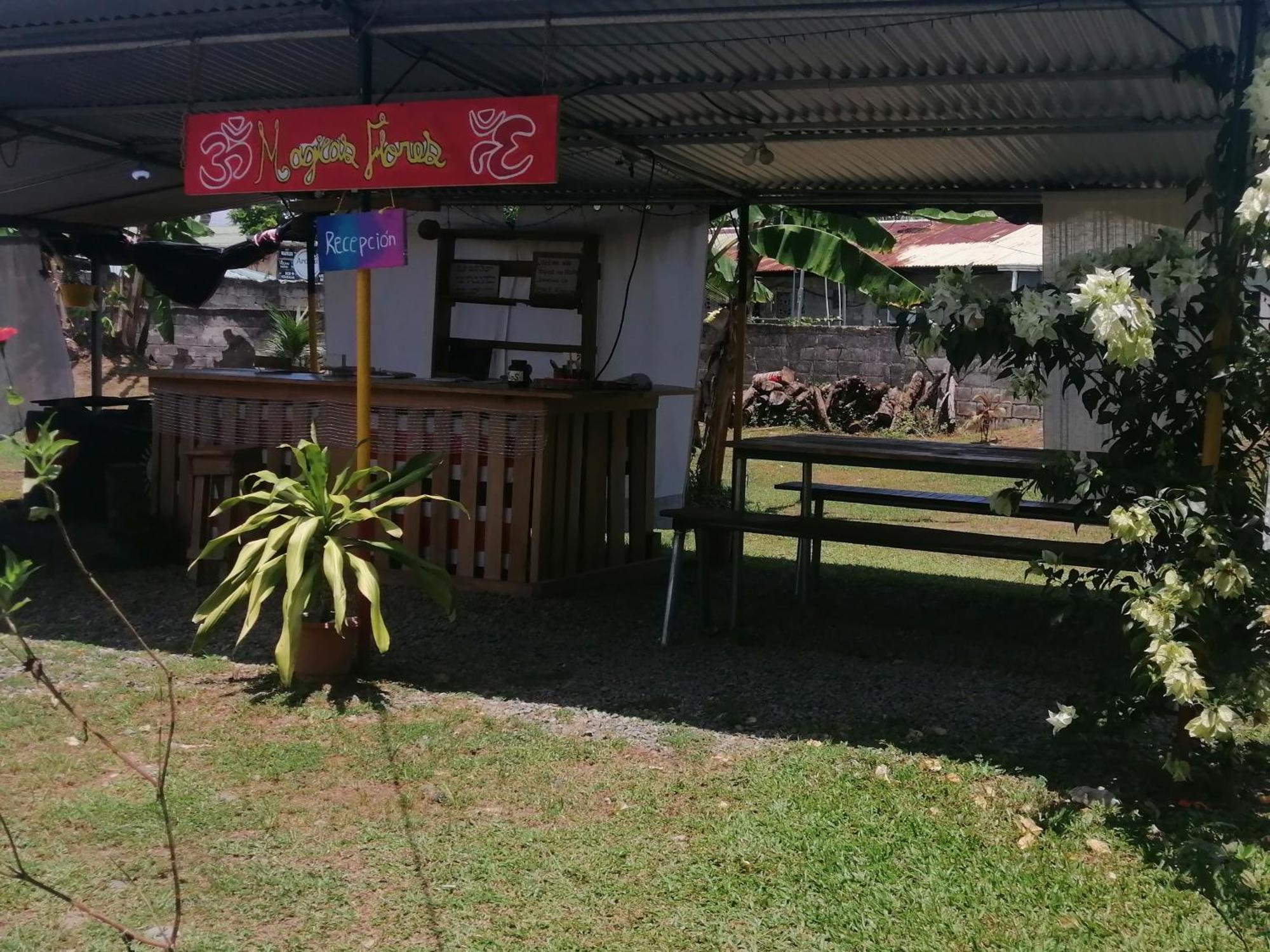 Rooms Palmeras Cahuita Exterior photo